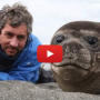 foca-si-jurnalistul