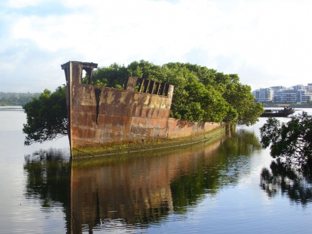 11. Nava veche de 102 ani abandonată în Sydney, Australia.