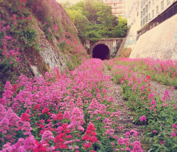 3. Cale ferată interioară abandonată în Paris.